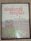 Cincinnati Bengals Stadium Framed Art Print - 11x14 Frame - Vintage Nfl Decor 