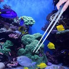2 Pack 15 Inches Long Tweezers Aquascaping Tools Feeding Tongs For Aquarium New