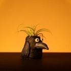 Poe The Crow   Halloween Blob House Planter