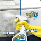 Miraclemist Mold   Mildew Remover Spray 32 Oz Rv Boat Interior Exterior Cleaner