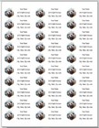 150  Grizzly Bear Mountain Trees  Return Address Labels Personalized Printed