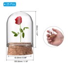 50pcs Cloche Glass Dome Glass Bell Jar Display Case With Cork Base 2  2 4  2 8 