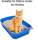Kitty Litter Box Starter Kit - Small Cat Litter Pan Without Lid  Litter Mat  Sco