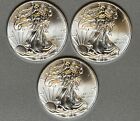 American Silver Eagle Bu 1 Oz Coins  1 Dollar Uncirculated Brilliant Lot Of 3