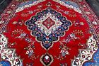 10x13 1960 s Elegant Mint Hand Knotted Vegetable Dye Wool Tabataba Tabrizz Rug