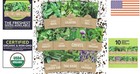 Non-gmo Culinary Herb Seeds Variety Pack - 10 Packets For Indoor outdoor Growth