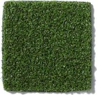 Koeckritz Park Central Oasis Outdoor Premium Artificial Grass Turf No Binding