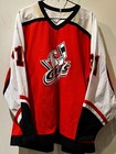 Vintage Ais Minor League Hockey Ahl San Diego Gulls Jersey Men Xxl Orange Goalie