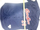 Milb Pawtucket Paw Red Sox Pawsox Jersey Game Worn Russell Size Xl 48  25  Rare