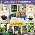 35 Medicinal   Tea Herb Seeds Variety Pack - Non-gmo Heirloom For Indoor outdoor