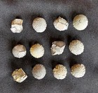 Set Of Authentic Boji   Stones Nickel Or 1 Inch Size