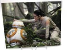 Daisy Ridley Auto Photo 8x10 Beckett Coa Card Signed The Force Awakens Star Wars