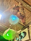 New Hanging Octopus Lamp W real Puffer Fish Color Changingled Tiki Bar Oceanic