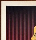 Obey-shepard Fairey  occupy Protester  Rare Screen Print Signed   Numbered