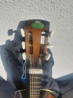 Regal Square Neck Resonater With Gig Bag