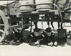 Santa Fe Trail Errol Flynn Ronald Reagan Cavalry 16 Photos Mac Julian Archive