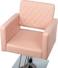 Hydraulic Barber Chair Hair Styling Chair Salon Beauty Spa Shampoo Equipment