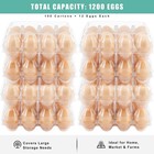 100 Packs Egg Cartons Cheap Bulk   plastic For 12 Eggs  Clear Egg Cartons 3   4 Gr