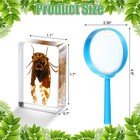 70 Pcs Insect In Resin Specimen With 7 Magnifying Glass Various Bugs Collecti   