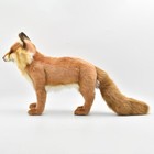 Hansa Red Fox 63 Bh4699 Realistic Plush Animals From Japan