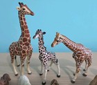 Schleich Animal Lot Of 12  Giraffes  Lions  Other  Excellent Pre-owned Cond  