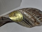 Shofar Shofarot Ram Horn Polished Kosher Made In Israel 10  Long