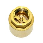 1 2  One Way Vertical Brass Check Valve Npt Threaded Spring Backflow Prevention