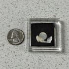 Bahamas Tropical Fish Souvenir Travel Refrigerator Magnet  51970