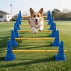 Outdoor Dog Agility Training Equipment Kit Pets Obstacle Training Course Garden