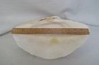 Giant Clam Shell Tridacna Gigas  12 1 4  X 8  Beach Decor Seashell