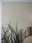 Vanilla Fields Fashion Vintage 1990s Print Ad