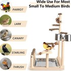 Feeder Play Stand With Bird Toys Playground Cups Wood Pet Perch Parrot     