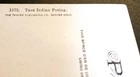 Beautiful Antique Postcard  1575 Taos Native American Indian Posing By Stream