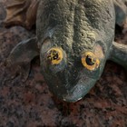Antique Wilton Vintage Cast Iron Frog Door Stop Or Garden Decoration 