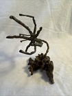 Vintage Mid Century Modern Brutalist Design Metal Flower Art Sculpture -1970s 4   