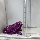 Hand Carved Painted Wood Folk Art Frog Carving Toad Sculpture From Jamaica