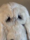 Vintage Dakin Lou Rankin Friends Wordsworth Snowy Owl Plush Stuffed Animal 8   