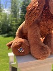 Webkinz Irish Setter Plushie No Code