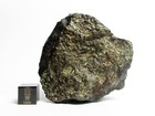 Nwa 869 Meteorite 73 30g Nice Chondrite Meteorite