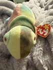 Ty Beanie Baby Rainbow Chameleon 1997