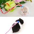 1 4m Hamster Leash Small Animal Leash Harness Rope Hamster Rat Mouse Adjustable