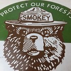 Vintage Smokey Bear Wildfires Porcelain Sign - Gas Pump Forest Station Sign