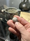 Coral Encrusted Cannon Ball 1715 Fleet Shipwreck Collectors