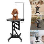 Electric Lift Dog Grooming Table 24  Rotating Desktop W  Adjustable Overhead Arm