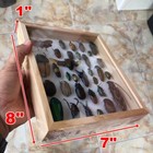 Real Beetle Insect Cicada In Display Wood Frame Collection Gifts Collectibles