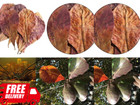 Catappa Indian Almond Leaves Dried Ketapang Betta Fish Aquarium Care Ps10 20 40 