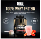 Animal 100  Whey Protein Strawberry 4lb Low Sugar Bcaa Blend