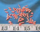  Coral   Pink Sprigs   Drilled   50 Pieces   Shellcraft   Sailor s Valentines  