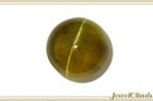 Honey Apatite Cat s Eye Loose Gemstone 3 50ct