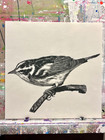 Guajardo Original Sketch Bird Study-4 10x10 Paper Signed Art
